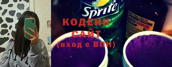 сатива Каменск-Шахтинский