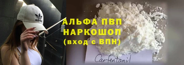 шишки Иннополис