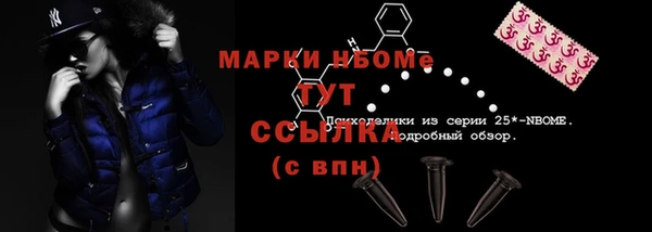 шишки Иннополис