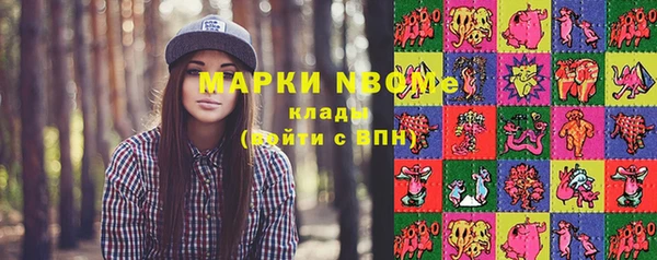 шишки Иннополис