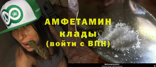 шишки Иннополис