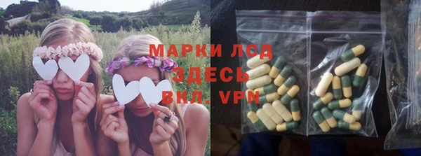 сатива Каменск-Шахтинский