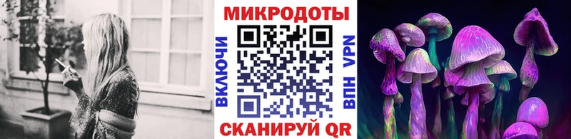 цены наркотик  Кирсанов  darknet клад  Галлюциногенные грибы прущие грибы 